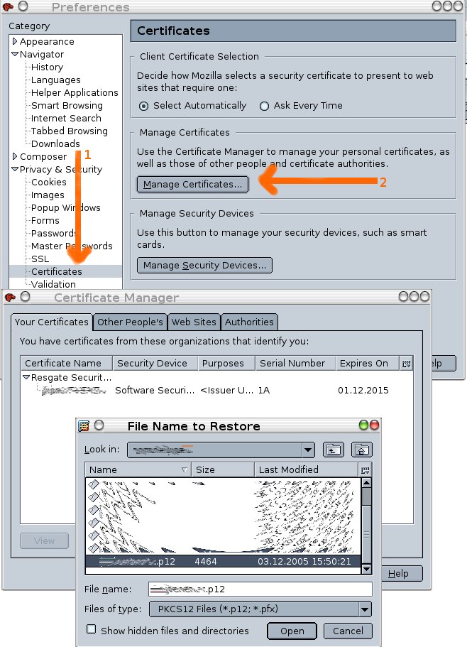 import_moz.png